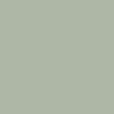 Bella Supermatt Sage Green - Colour Sample