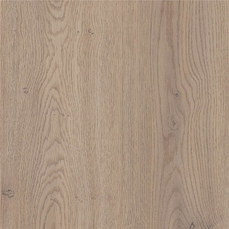 Bella Cremona Oak Canollo - Colour Sample
