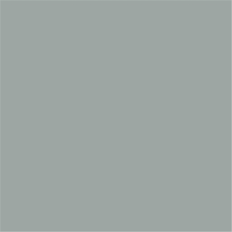 Bella Supermatt Duck Egg - Colour Sample